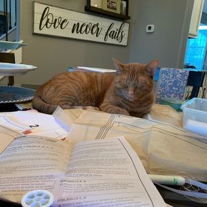 Meet your Posher, Jen